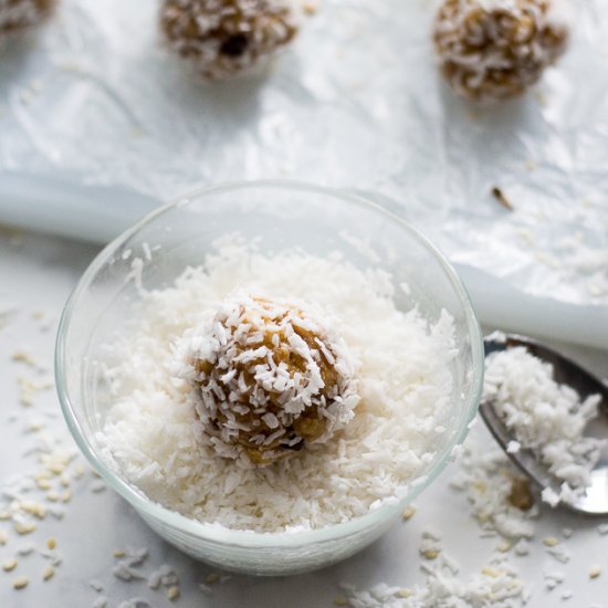 Tahini Coconut Energy Protein Bites