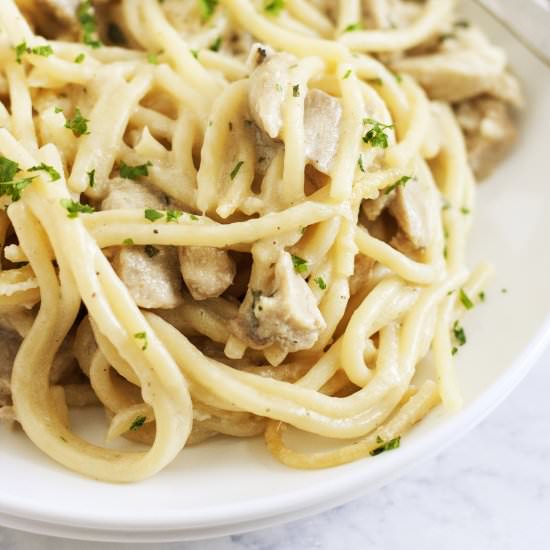 Turkey Tetrazzini