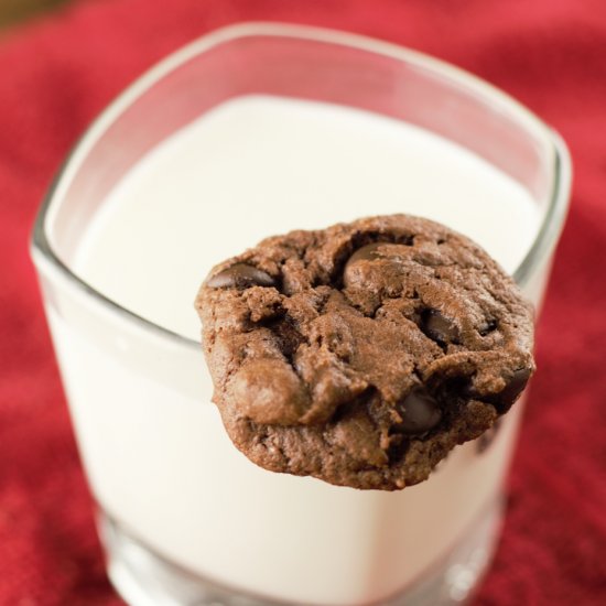 Chocolate Chip Fudge Cookies