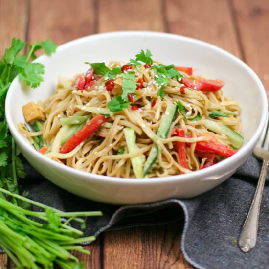 Chilled Peanut Noodle Salad