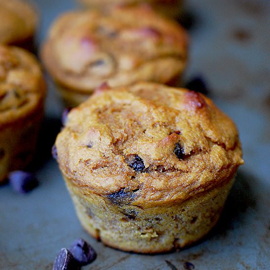 Pumpkin Chocolate Chip Muffins