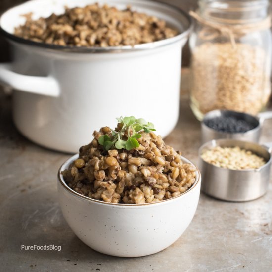 savory steel cut oats with lentils