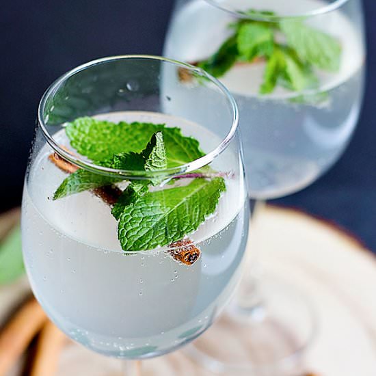 Persian Cinnamon Mint Refresher