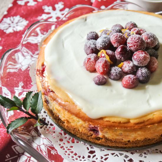 Cranberry Lemon Cheesecake