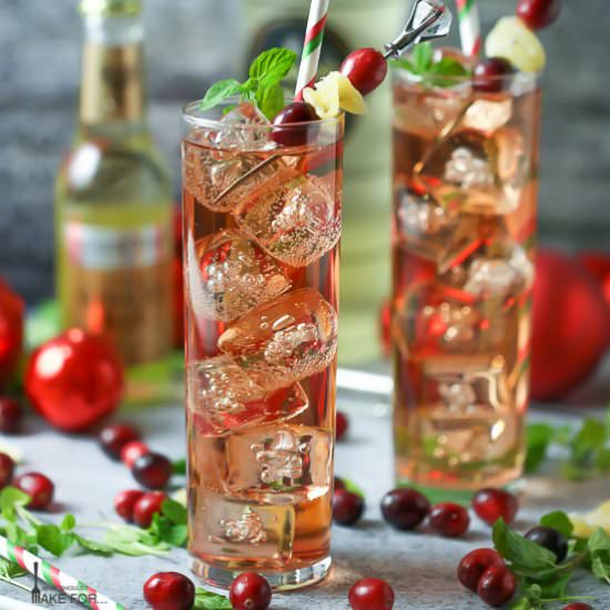 Cranberry Ginger Fizz Cocktail