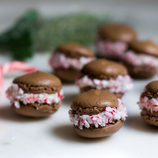 Chocolate Peppermint Macarons