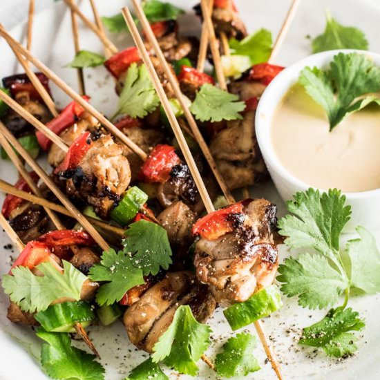 Mini Chicken Satay Skewers