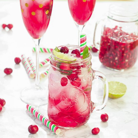 Pomegranate Cranberry Mojito