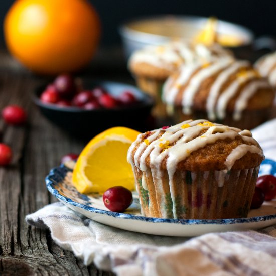 Cranberry Orange Spice Muffins