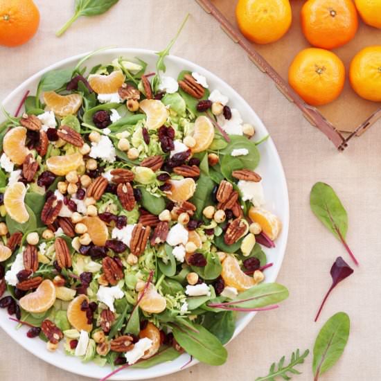 Sprouts Salad with Cranberries