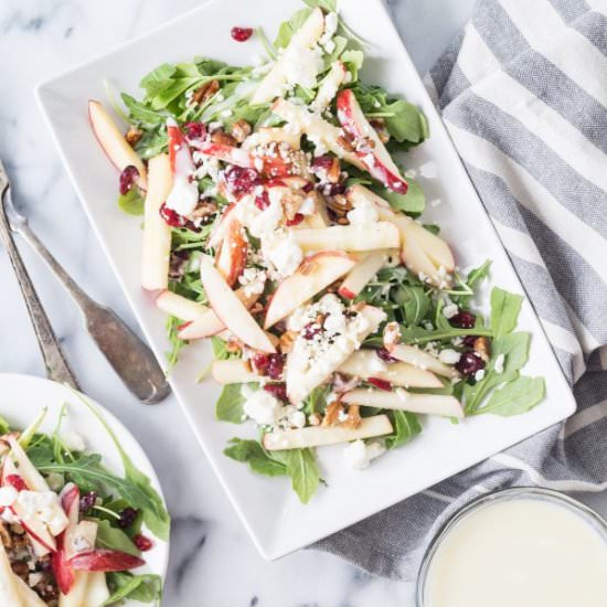 Apple Cranberry Salad