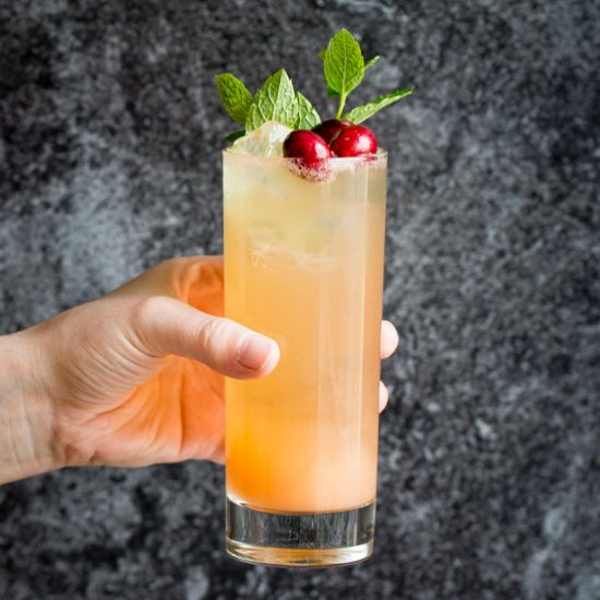 Grapefruit Ginger Spritzer