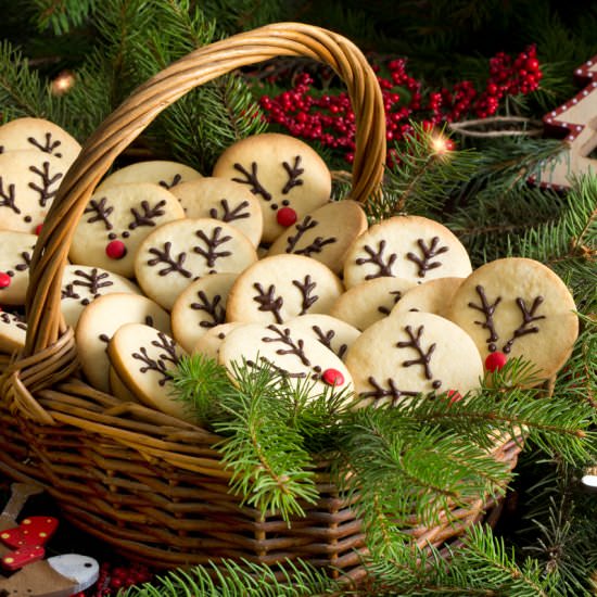 Reindeer Biscuits