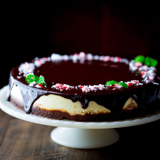 Peppermint Pattie Cheesecake