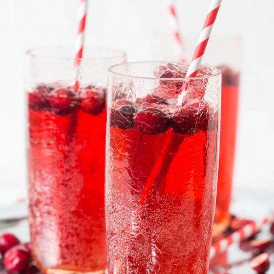 Cranberry Ginger Ale Punch