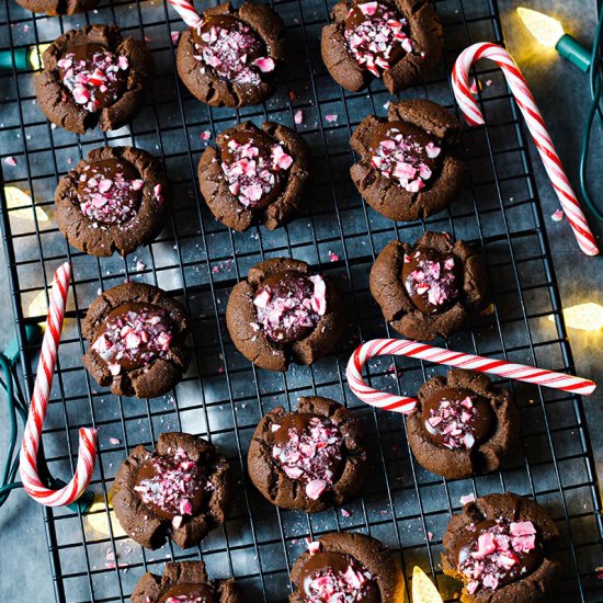 Double Chocolate Peppermint Cookies