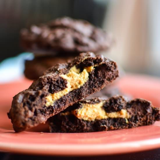 Chocolate Peanut Butter Cookies