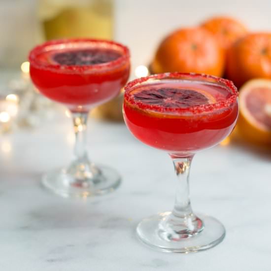 Sparkling Blood Orange Cocktail