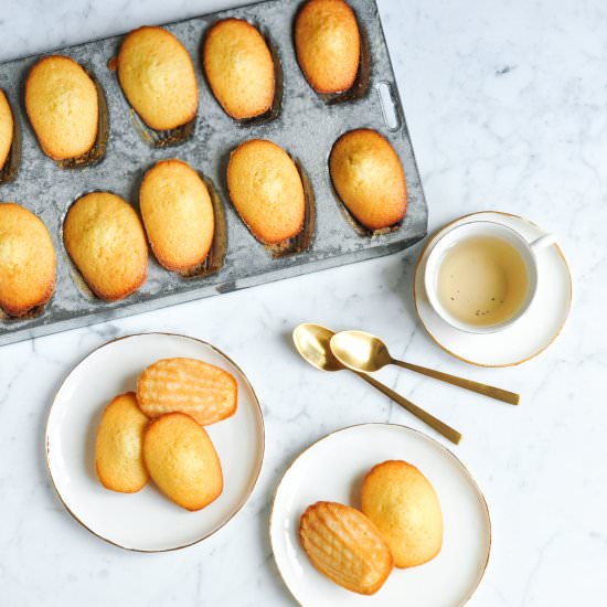 Honey Madeleines