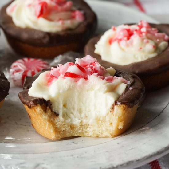 Chocolate-Dipped Peppermint Tarts