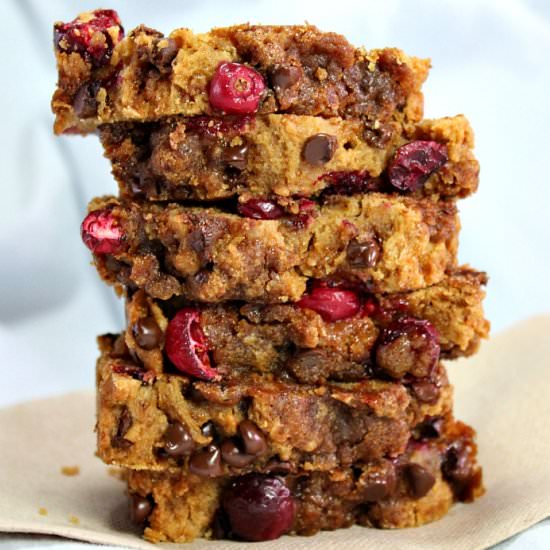 Chocolate Chip Cranberry Bread