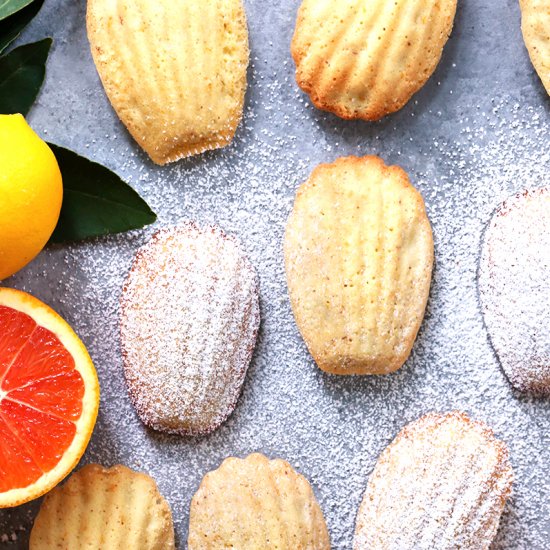 Citrus Madeleines