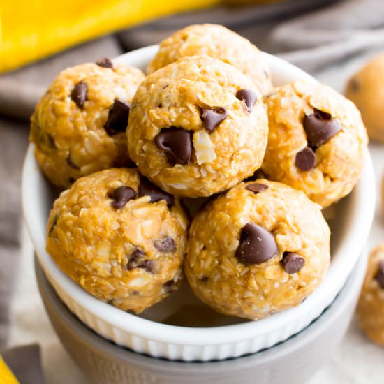 PB Coconut Chocolate Chip Bites