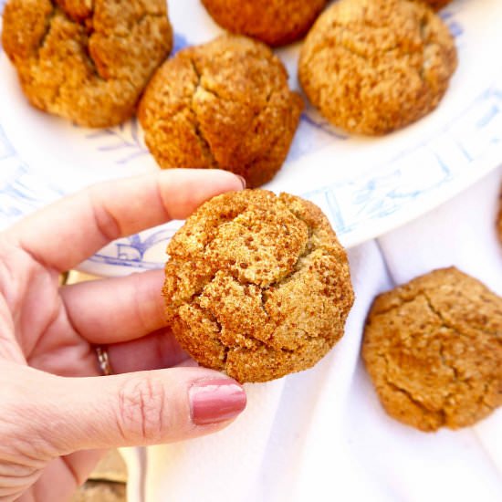 Paleo Snickerdoodles (GF)