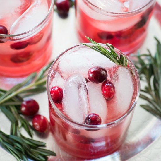 Cranberry Fizz Cocktail