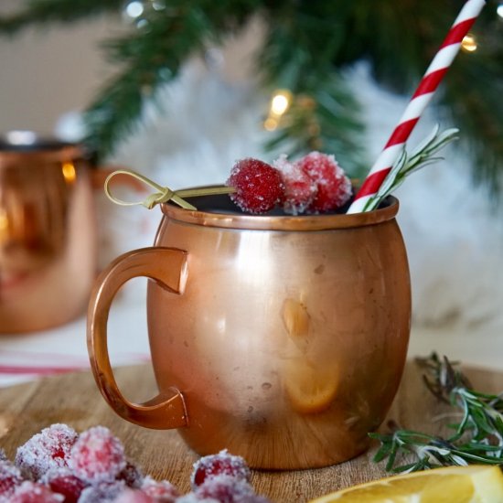 Cranberry Moscow Mule