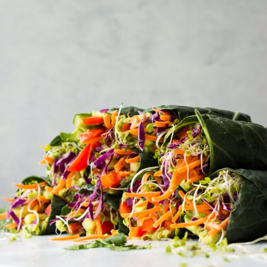 Healthy Veggie Rolls