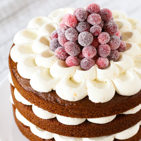 gluten free vegan gingerbread cake