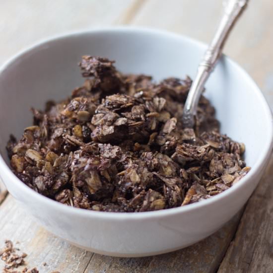 Coconut Dark Chocolate Granola