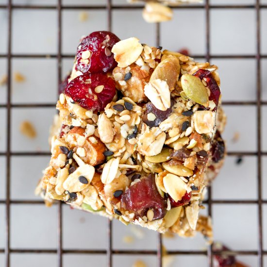 Toasted Seed Granola Bars