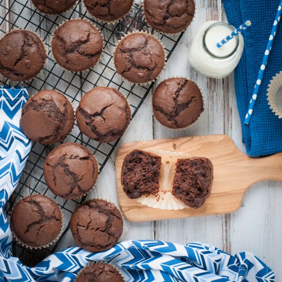 Chocolate Muffins w/ Chocolate Chips