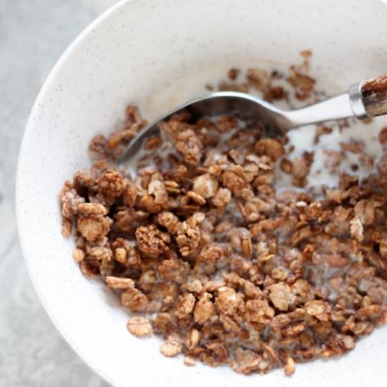 Low Sugar Peanut Butter Granola