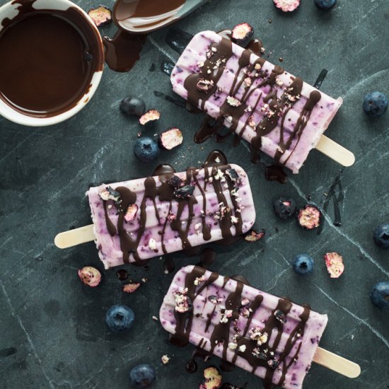 Blueberry Popsicles