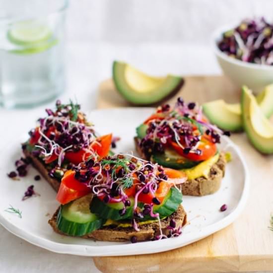 Open Faced Sprout Sandwich