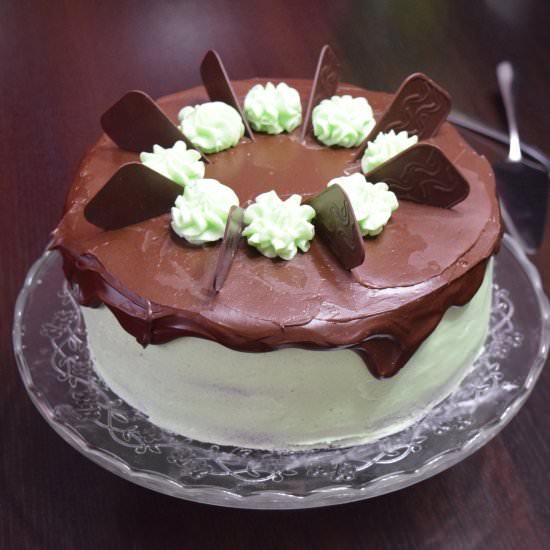 Mint Chocolate Cake