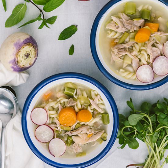 Vegetable Chicken Noodle Soup