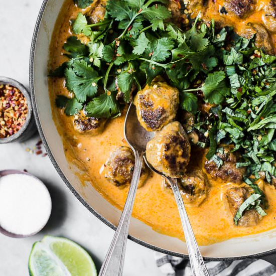 Turkey Meatballs in a Red Curry Sau