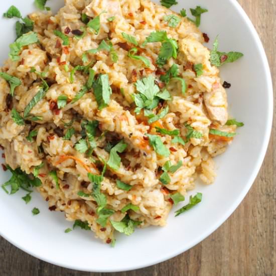 Low Fodmap Chicken Biryani