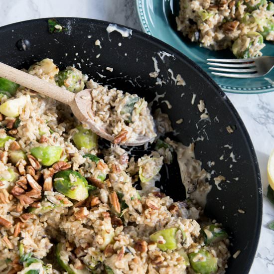 Short Cut Risotto with Sprouts