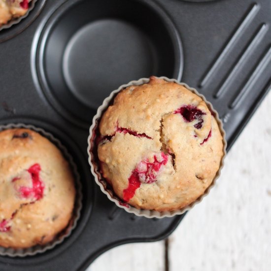 Gluten-free Cranberry Millet Muffin