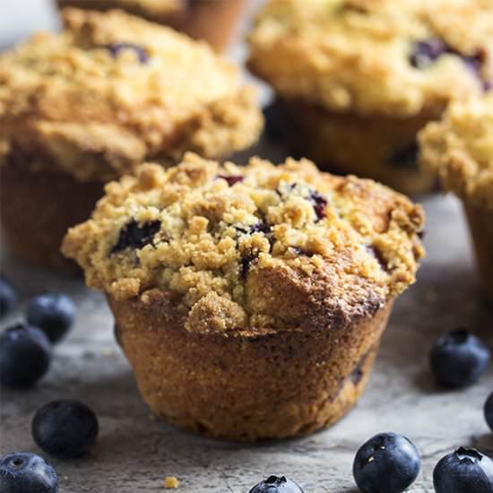 Meyer Lemon Blueberry Muffins