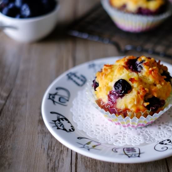 Blueberry Yogurt Muffins