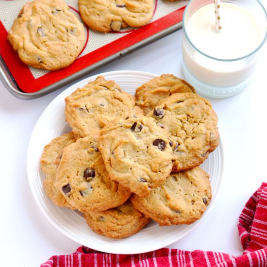 Peanut Butter Chocolate Chip Cookie