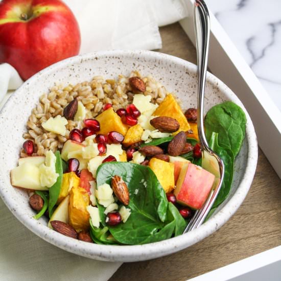 Butternut Squash and Apple Bowl