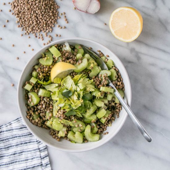 Celery Lentil Salad