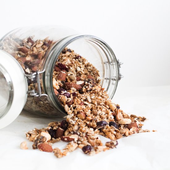 Low FODMAP Granola with Cranberry